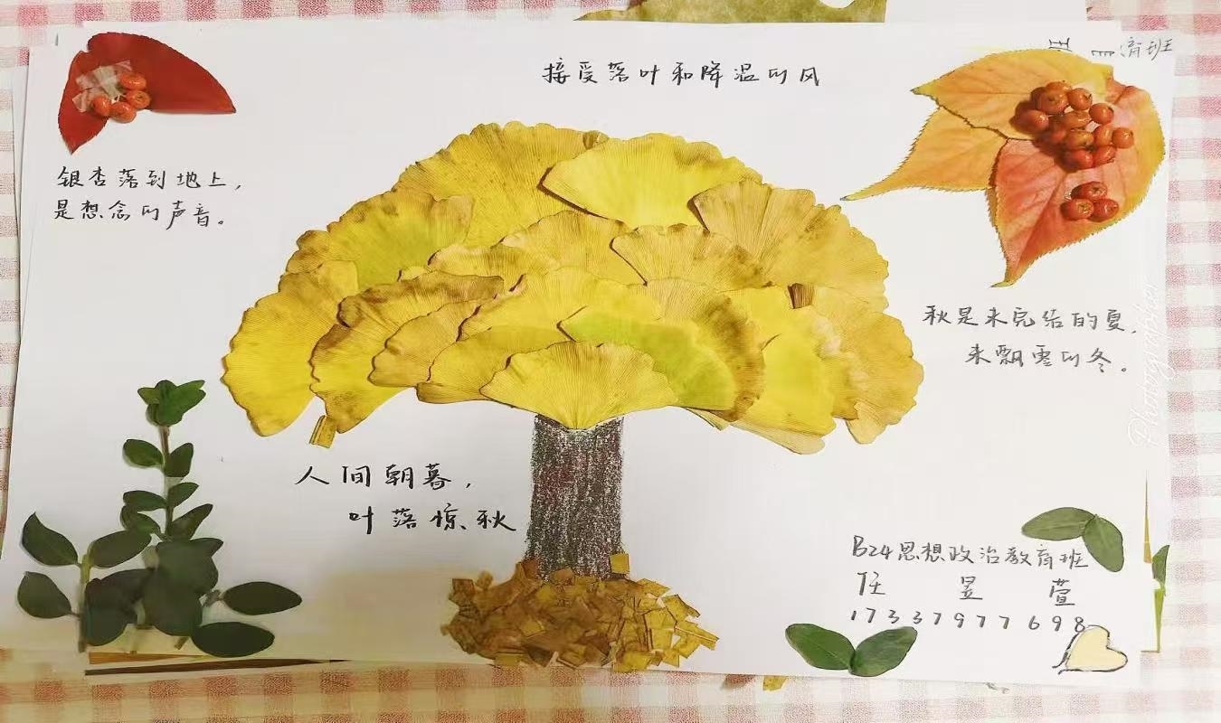 微信图片_20241106111022.jpg 微信图片_20241106111022.jpg