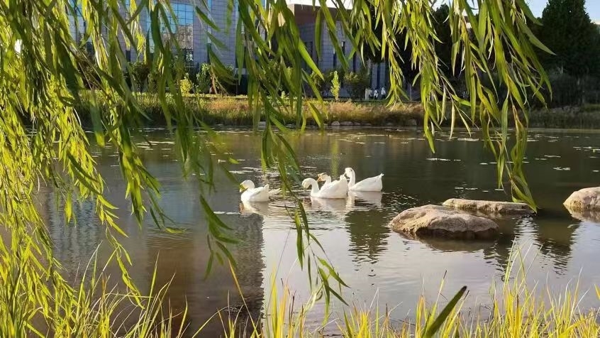 微信图片_20240508190032.jpg 微信图片_20240508190032.jpg